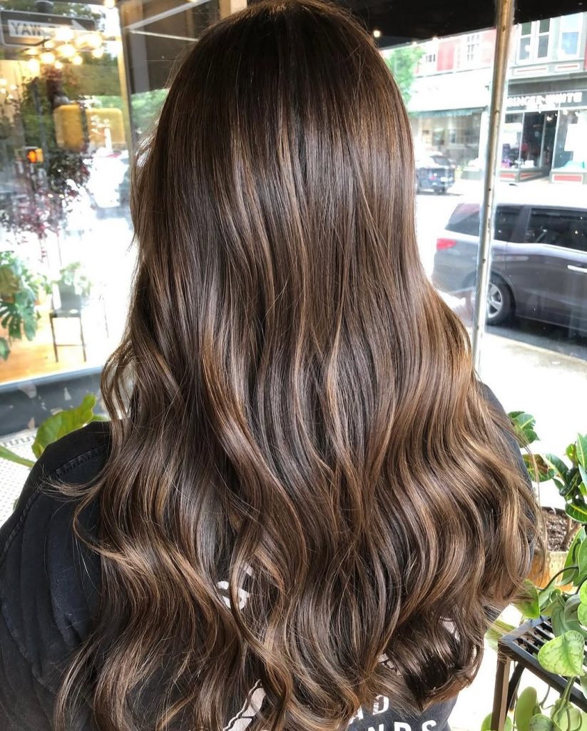 Regal Brown Veil


