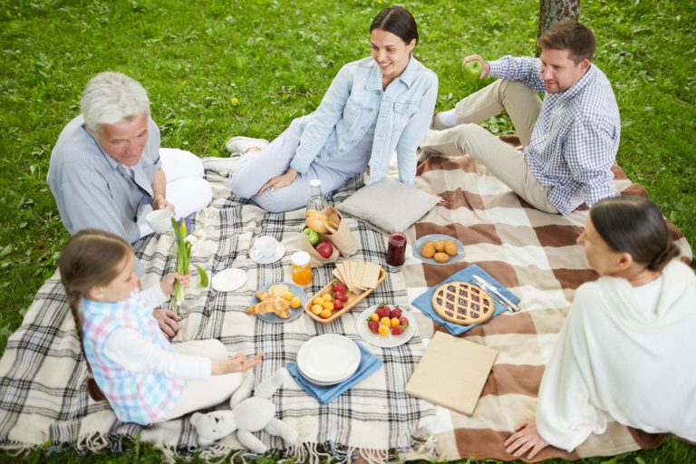 22 Picnic Party Ideas Everyone Will Enjoy
